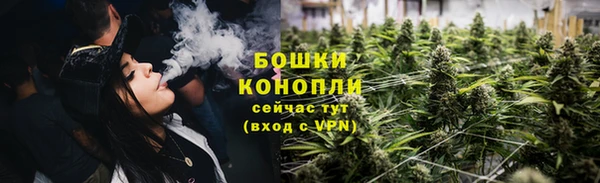 гидропоника Белокуриха