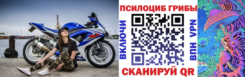 Псилоцибиновые грибы MAGIC MUSHROOMS  где продают   Кузнецк 